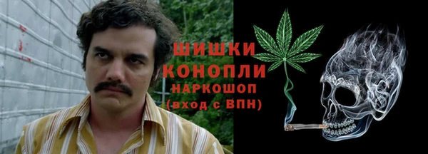 тгк Кулебаки