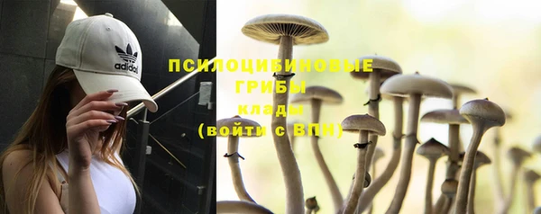 экстази Белокуриха