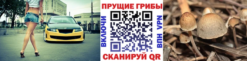 Галлюциногенные грибы Magic Shrooms  Городец 